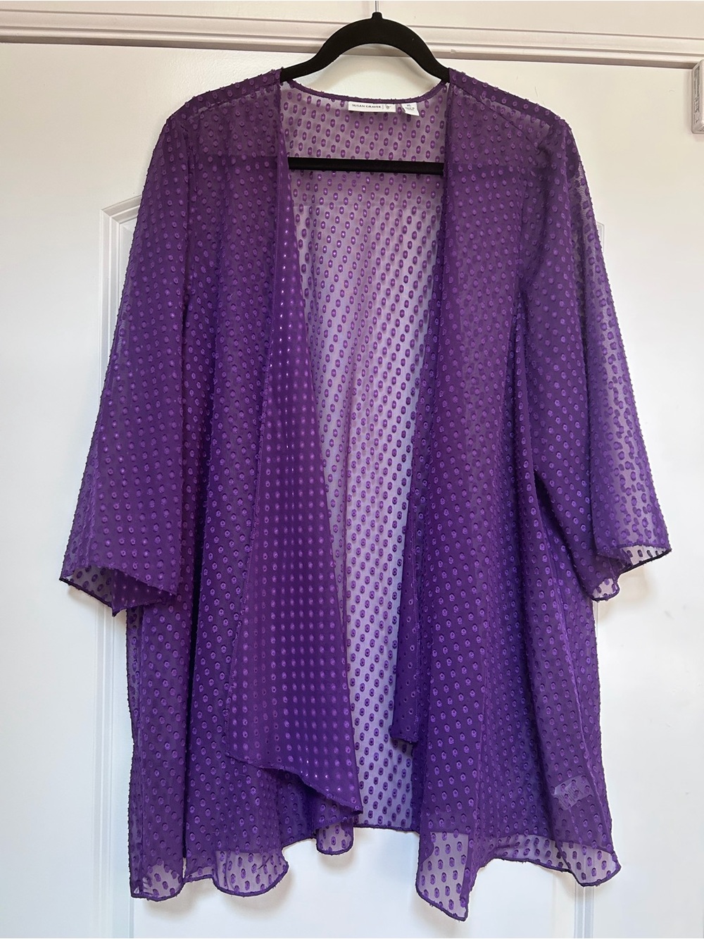NWOT Susan Graver Cardigan Sz XL Swiss Dot Sheer Kimono Coverup Boho Cottagecore